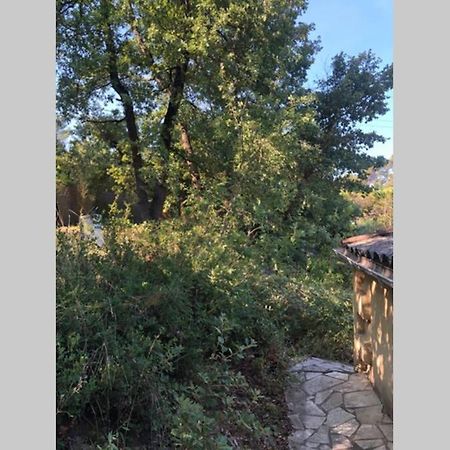 L'Escapade. Entre Aix Et Marseille, Studio Pleine Nature. Fuveau Exterior foto