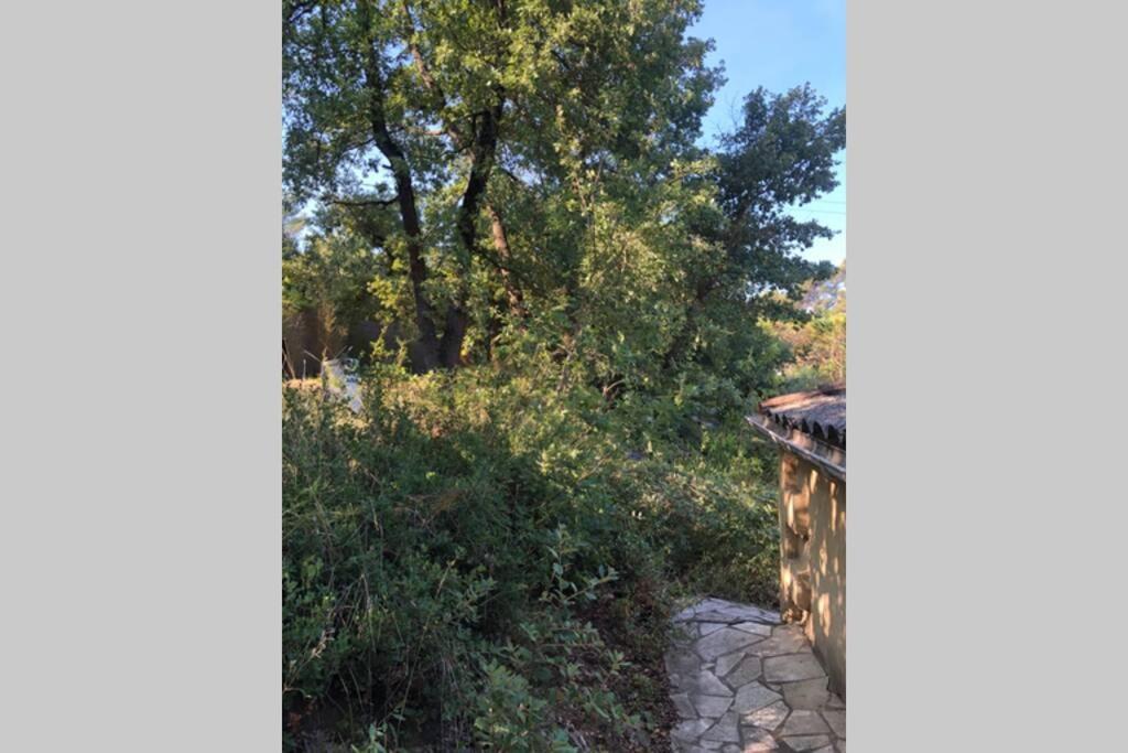 L'Escapade. Entre Aix Et Marseille, Studio Pleine Nature. Fuveau Exterior foto